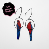 Crimson Rosella earrings in Red & Blue