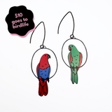Eclectus mismatched pair earrings in Red, Blue & Green