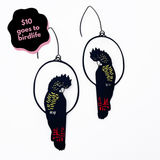 Red Tailed Black Cockatoo earrings