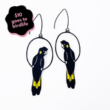 Yellow Tailed Black Cockatoo earrings