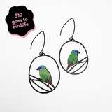 Blue-Faced Parrotfinch earrings in Blue, Green & Red