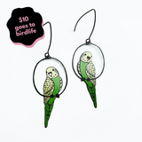Budgie earrings in Green & Yellow