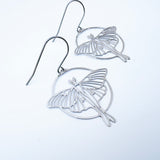 Luna Moth earrings in Silver