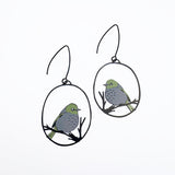 $59 Set: Silvereye & Banksia Silver earring set