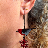 Scarlet Honeyeater earrings in Black, Grey & Red
