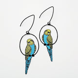 Budgie earrings in Black/Blue/Yellow