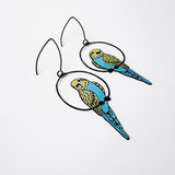 Budgie earrings in Black/Blue/Yellow