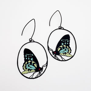 Butterfly earrings in Cairns Birdwing
