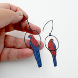 Crimson Rosella earrings in Black/Red/Blue