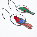 Eclectus mismatched pair earrings in Red/Blue/Green