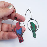 Eclectus mismatched pair earrings in Red/Blue/Green