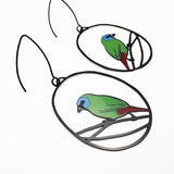 Midi Blue-Faced Parrotfinch earrings in Black/Blue/Green/Red